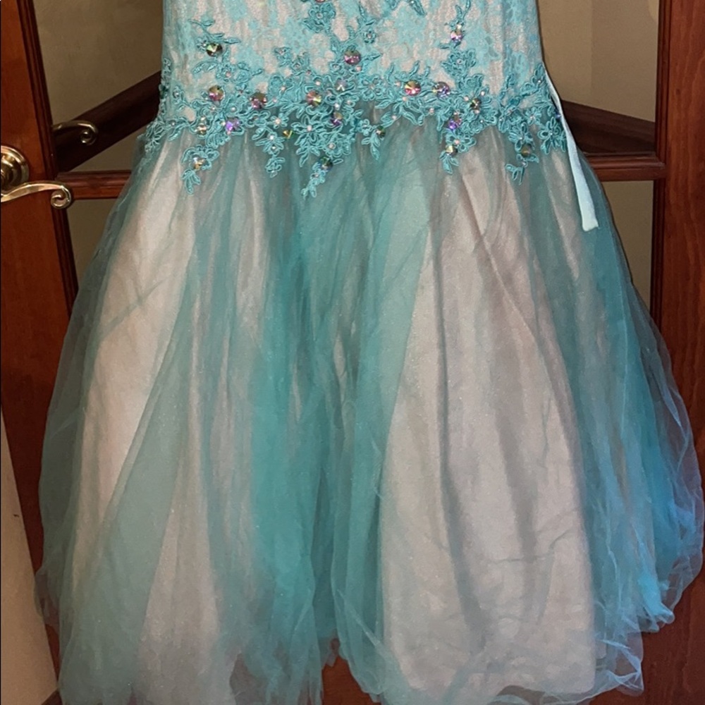 Prom Dress - Picture 3 of 5